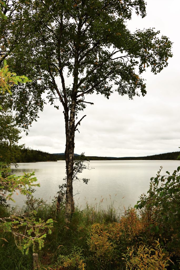 Kesänkijärvi
